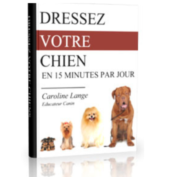 photo dresser votre chien en 15 minutes par jour de caroline lange